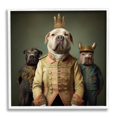 Ba-918 - Chiens encadrés portant des vêtements royaux