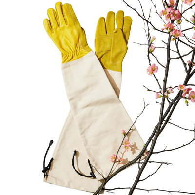25.2" Long Garden Gloves for Women or Men Pair - Featuring 16.9" Long Cuff for Extended Coverage - Breathable Canvas Thorn Proof Leather Gardening Gloves with Arm Guard Gauntlet for Pruning Planting Rose Cactus or Blackberry  (Small)