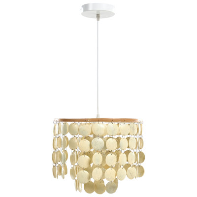 1 Light Chandelier