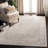 Aayushi Performance Oriental Rug-530913232