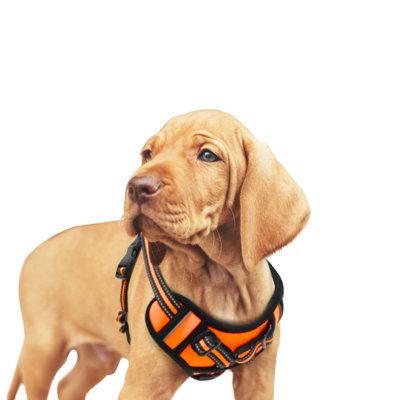  & Goopaws Padded Reflective Dog Harness, Easy Control Lightweight Dog Harness, Adjustable Outdoor Pet Harness For Small Medium Large Dogs, Orange, 20-24''chest