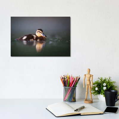 Duckling 1 Piece Wrapped Canvas Wall Art
