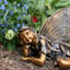 Statue de jardin Suffolk Fairy Oliva