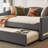Full Size Upholstered Daybed With Light And Trundle-1750730081-1750730094