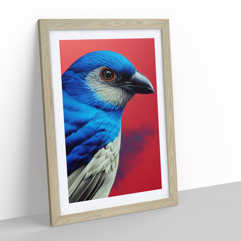 Splendid Bird - Wall Art, 34cm H x 25cm W x 2cm D, Oak Framed