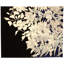 Tuleh - 'Brazil' Rug 8' X 10'