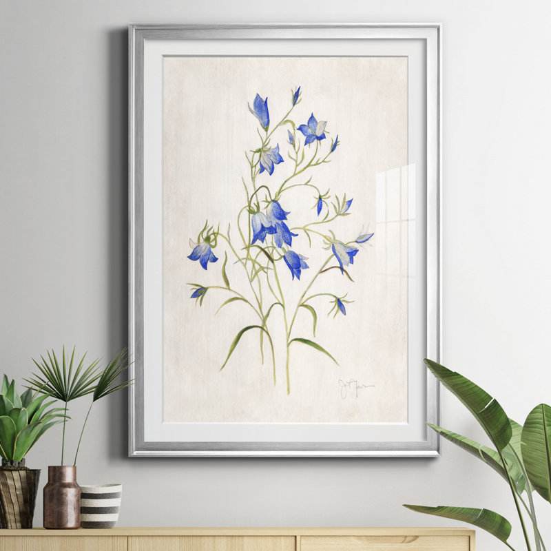 Botanique I - Cadre photo, reproduction d'art sur papier, H 18,5 po x l 24,5 po x P 1,5 po, Argent
