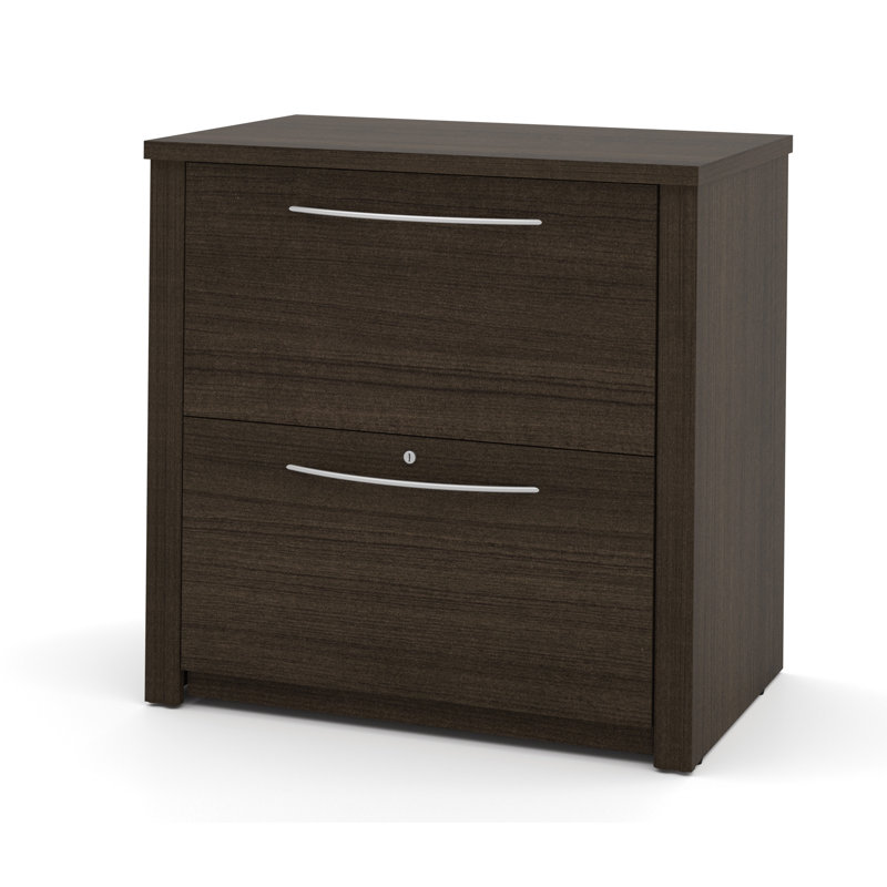 Pasia 30.8'' Wide 2 -Drawer File Cabinet, Dark Chocolate