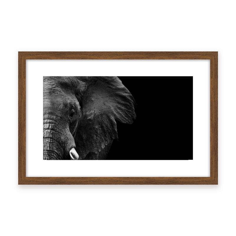 Nature Inspired Elephant by  - Picture Frame Photograph on Paper, 16" H x 24" W x 1.125" D, Beige, Framed Print