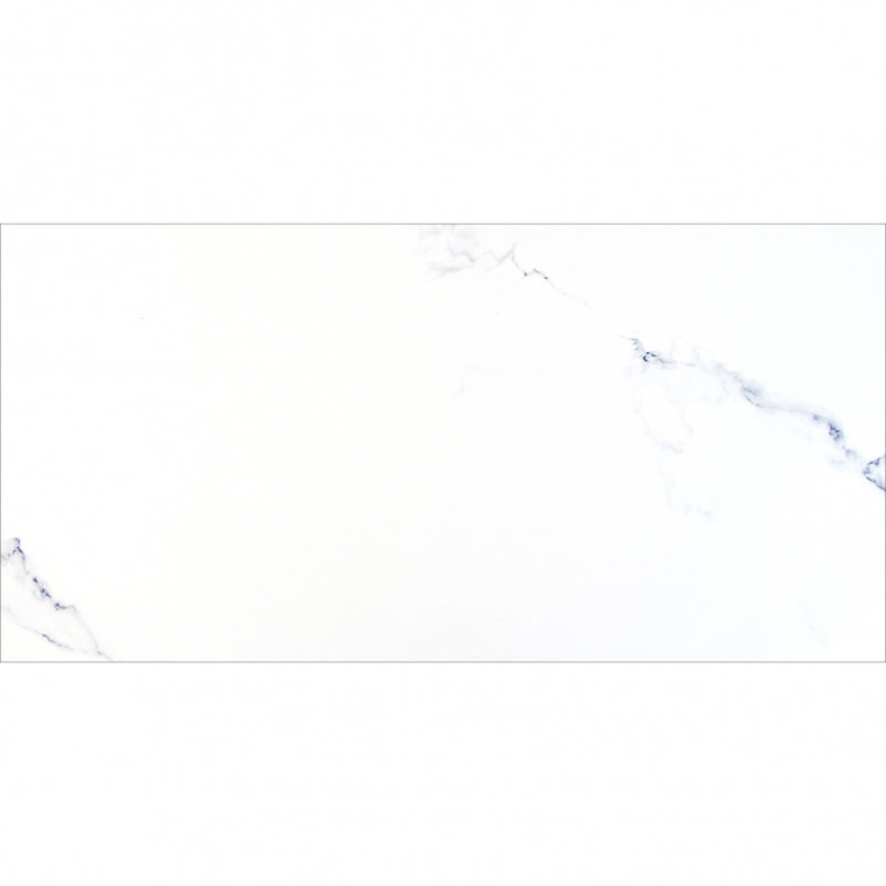 Augusta Collection 24" x 48" Porcelain Marble Look Wall & Floor Tile, White/Blue