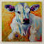 «White Calf» par Kucera, reproduction d'art sur toile tendue-22071642
