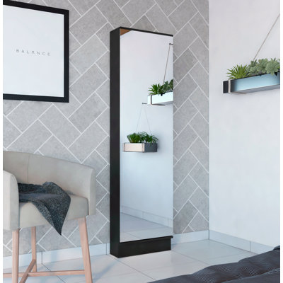 Rectangle Tall Shoe Cabinet With Mirror