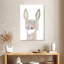 Ashelle Ella le lapin-108452579