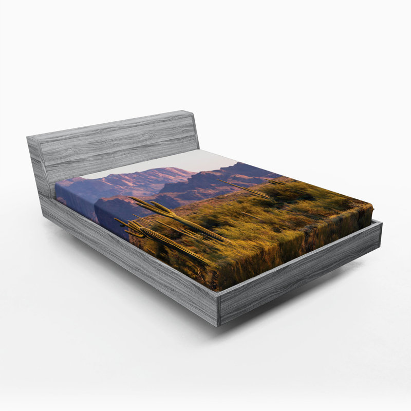 Drap-housse Saguaro, Drap-housse grand