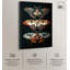 Toile rétro Botanicals de Void par Art Remedy-115023576-115023580