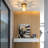 Munshi 1-Light 4.7" Crystal Flush Mount Ceiling Light-46263081