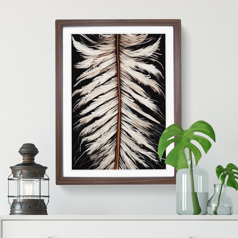 XV1022-5236X Winter Feather - Single Picture Frame Print, Walnut Framed, 64cm H x 46cm W