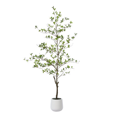 George Artificial Black Olive Tree in White Pot, Tall Faux Shady Lady Tree for Indoor Home Decor