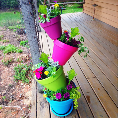 Globes de cactus pour arrosage des plantes Aqua Glass 