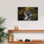 «Autumn On The Appalachian Trail» par Rick Berk, art mural sur toile-1769498072