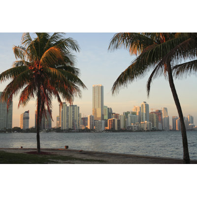 Joncas " View Of Miami Skyline " by Fstockfoto