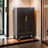 15 Pair Shoe Storage Cabinet
