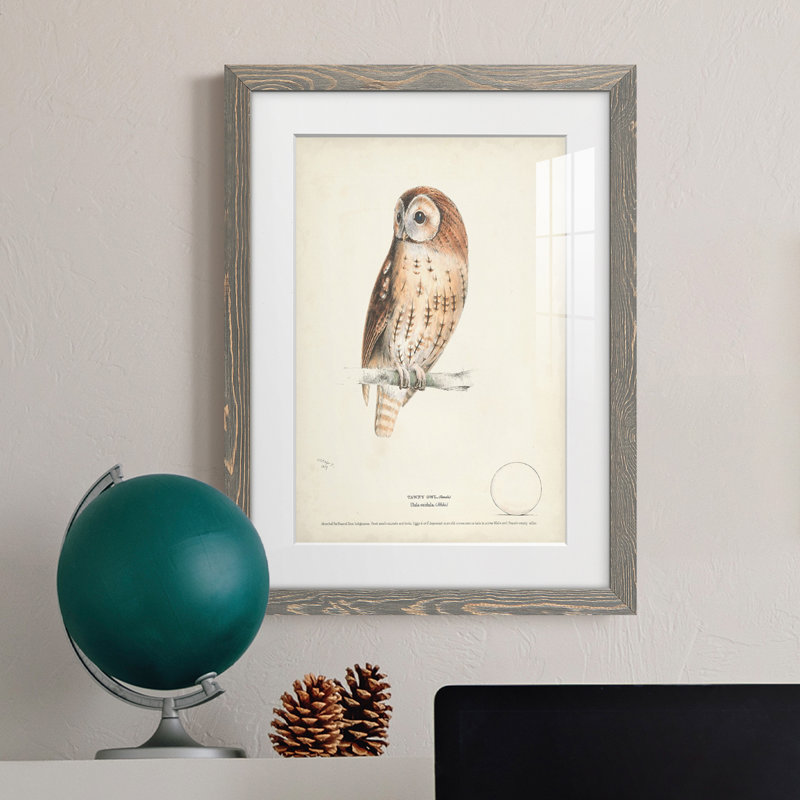 Tawny Owl Premium encadré mat - prêt à accrocher, H 44 po x l 31 po x P 1 po, Encadré gris
