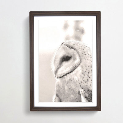 Watchful Barn Owl Bird - Picture Frame Graphic Art Print