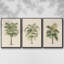 " Les Palmiers II " 3 - Pieces-97811931-97811933