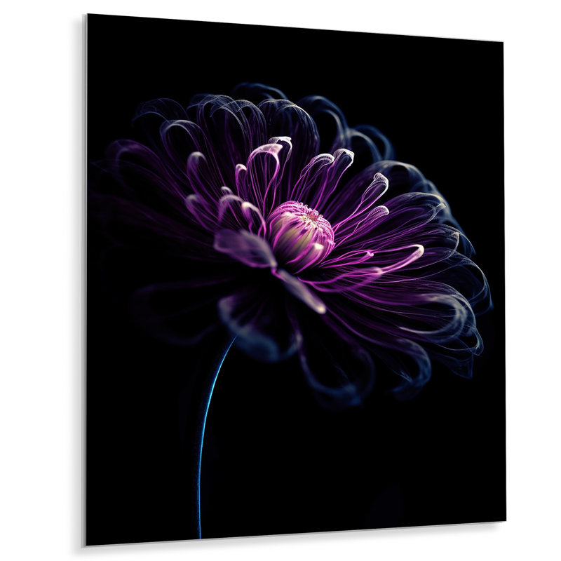 Mauve et marguerite noire - Fusion florale, impression sur métal, H 20 po x l 12 po x P 1 po