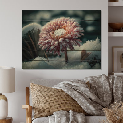 Une fleur de gerbera rose en hiver I - Impression sur toile