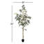 Arbre en pot Winnetka-27703840