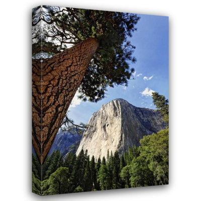 Flaherty, Dennis, art sur toile: Yosemite View of El Capitan landmark (66_US05 BJY0060)