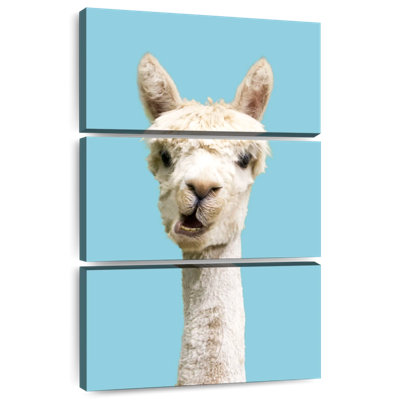 Brampt White Funny Alpaca