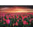 Wrapped Canvas selected