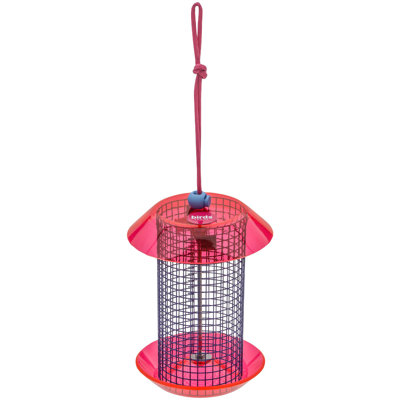 Birds Choice 6.5"" Color Pop Collection Small Sunflower Seed Feeder, Yellow and Gray -  CPFF1-BF