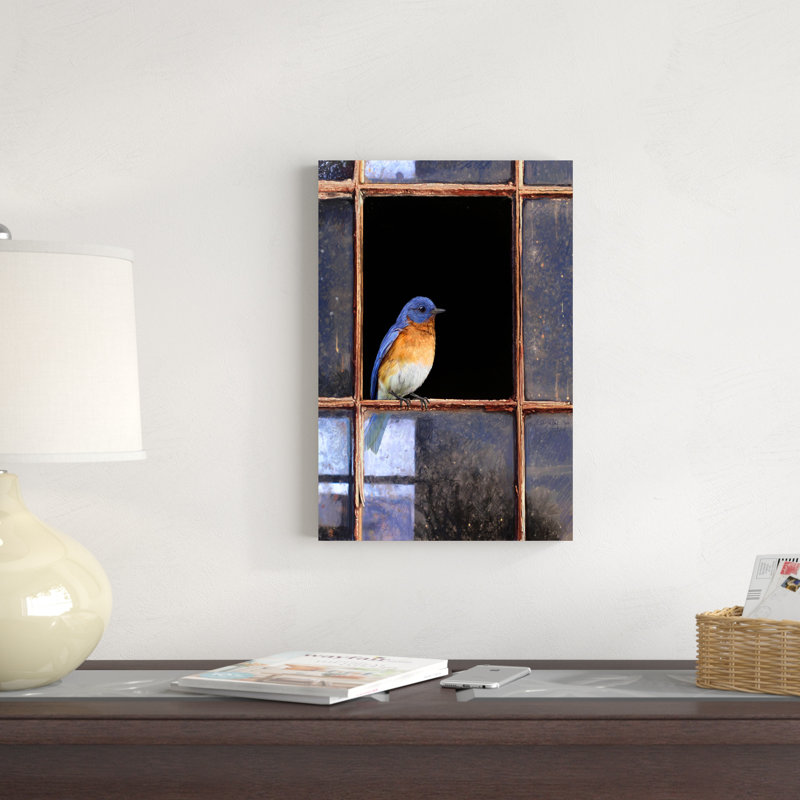 Fenêtre Bluebird, H 18 po x l 12 po x P 1,25 po