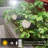 Low Voltage Solar Powered Integrated LED Spot Light