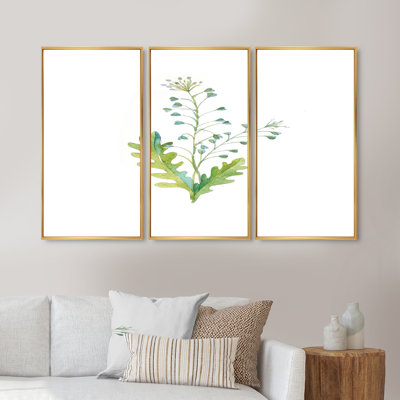 «Vintage Herbs And Wild Flowers II», ensemble d'art mural sur toile encadré traditionnel de 3