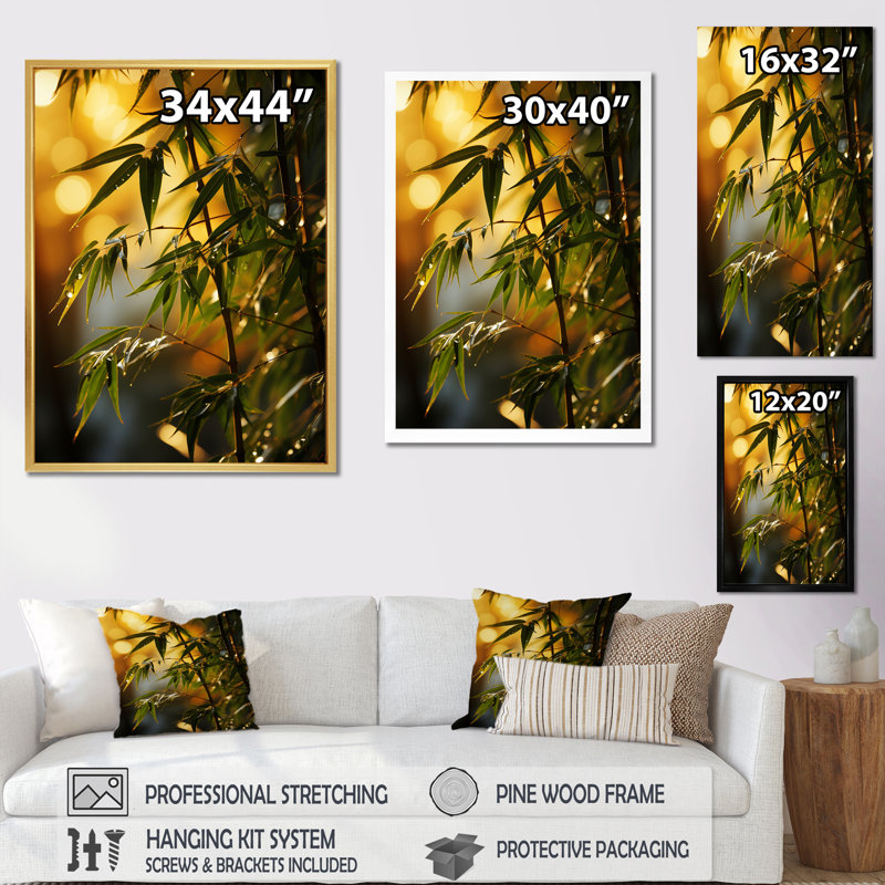 " Bamboo Sunset Photography I ", 44" H x 34" W x 1.5" D, Gold Picture Framed