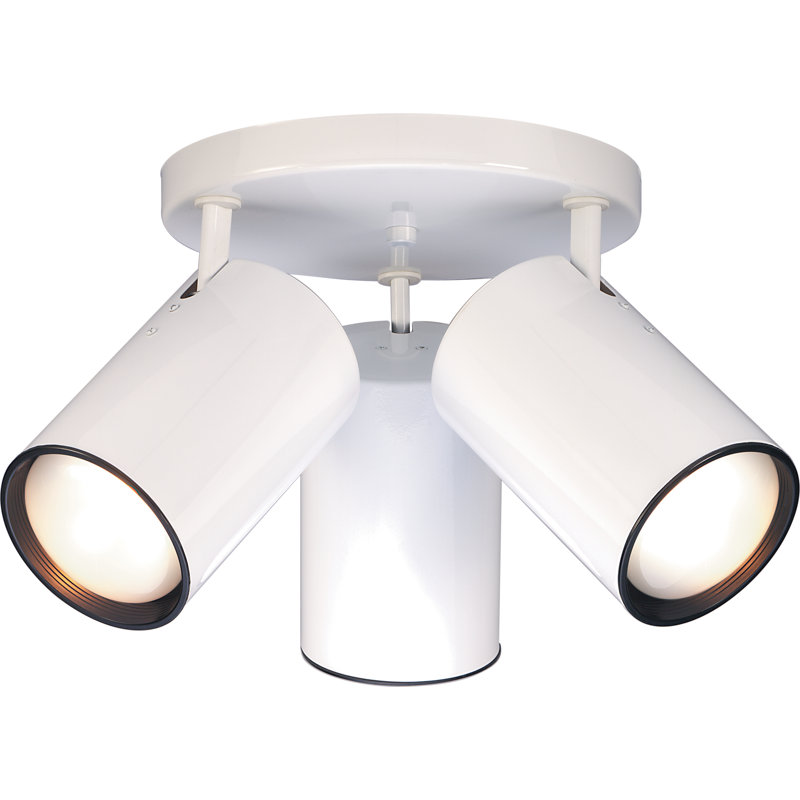 Projecteur simple cylindrique de 18 po à 3 lumières Chabot