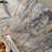 Simple rectangular marble coffee table-1613339873