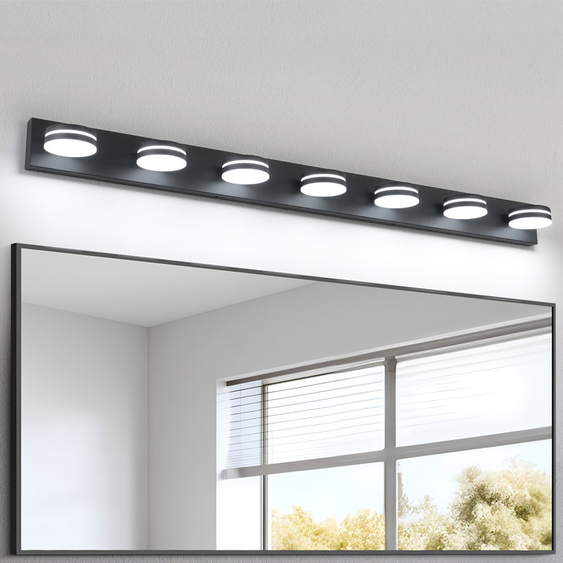 Luminaire de salle de bain DEL Ravo à haute transmission et intensité variable 5500K avec tête rotative à 270 ° , Noir mat