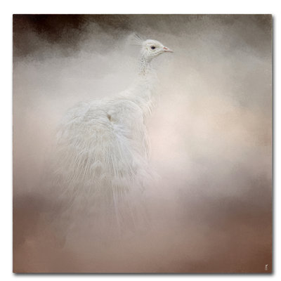 Peacock 6' Graphic Art Print on Wrapped Canvas -  Trademark Fine Art, ALI13916-C1414GG