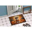 Paillasson Castres-217406037