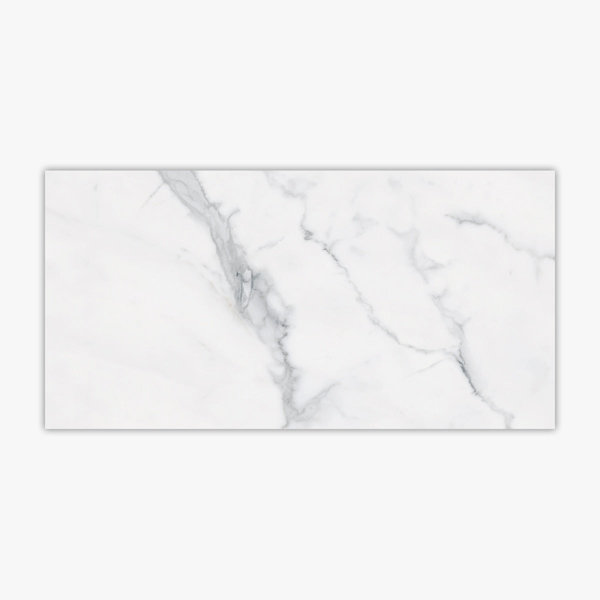 Bianco 12'' W x 24'' L Porcelain Singular Tile