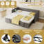 Daybed with Trundle-309876383