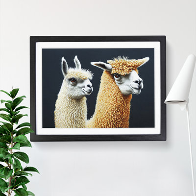 Enthralling Llamas - Single Picture Frame Print