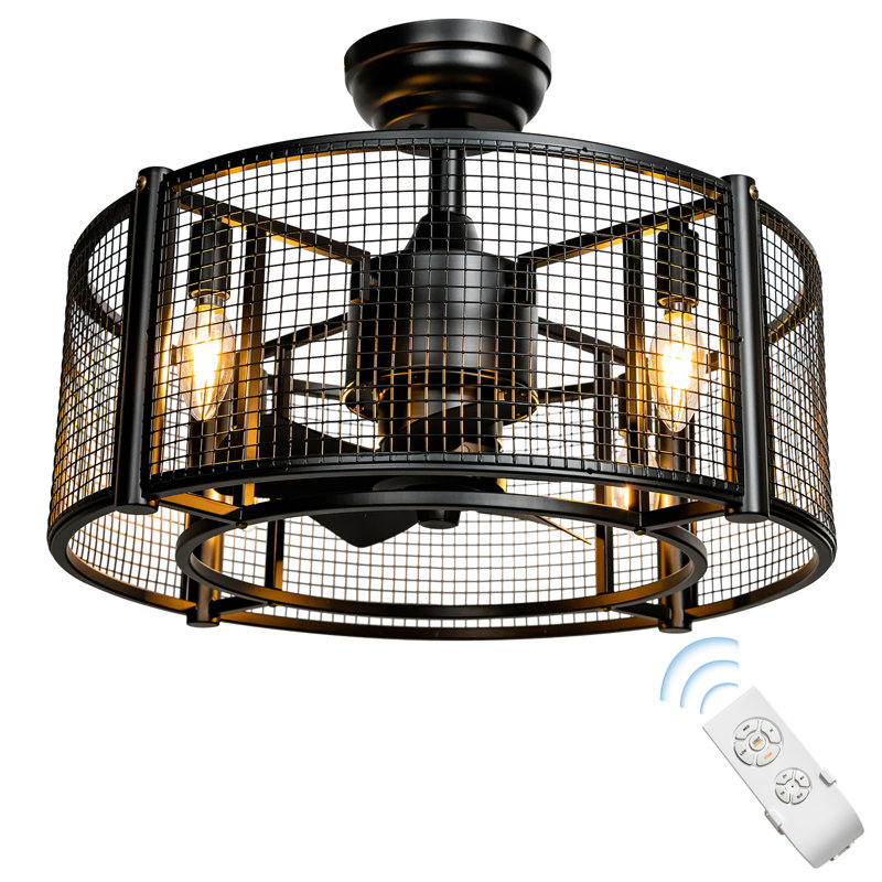 Rigsby 20'' Ceiling Fan with Light Kit, Black