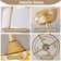 19'' Modern Ceiling Fan With Light